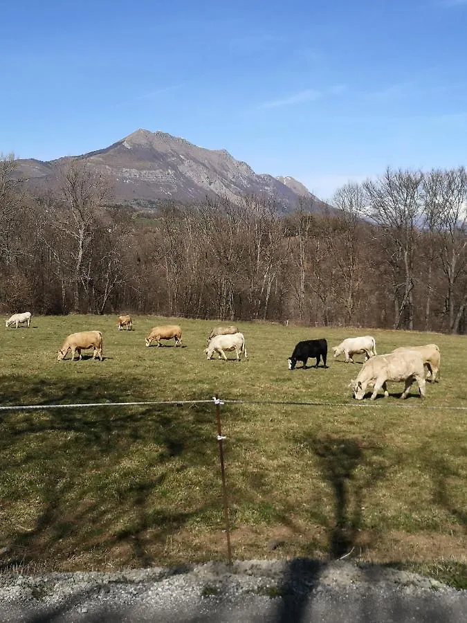 Chalet Bastilor La Joue du Loup France