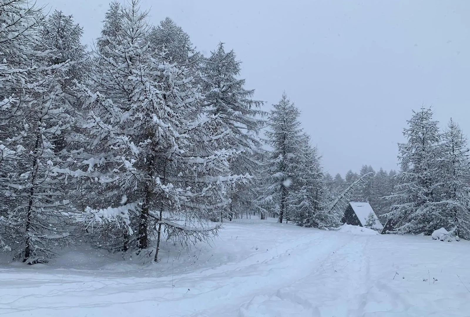 Chalet Bastilor La Joue du Loup France